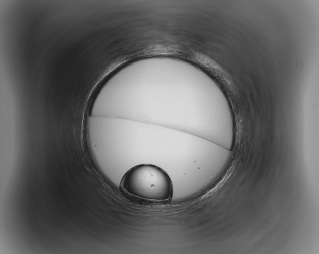 X0000098141170200804171114