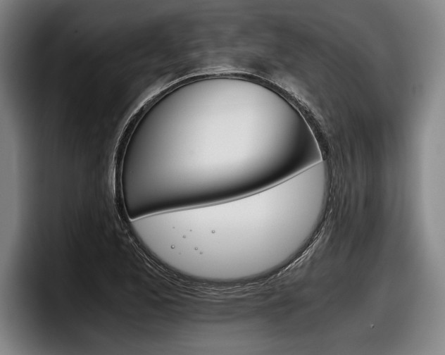 X0000098141173200804171114