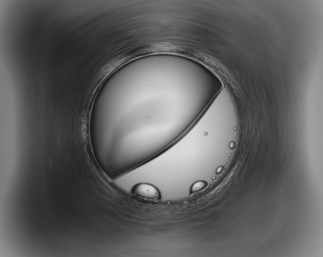 X0000098141177200804171114