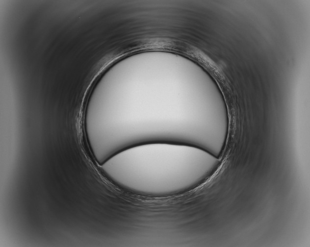 X0000098141178200804171114