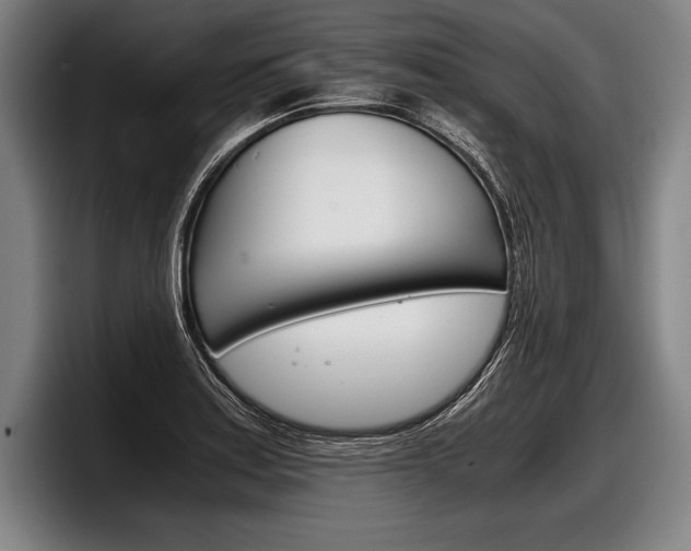 X0000098141179200804171114