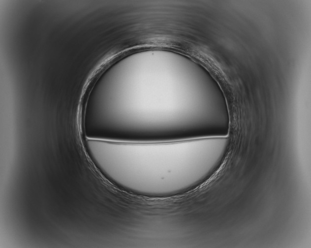 X0000098141180200804171114