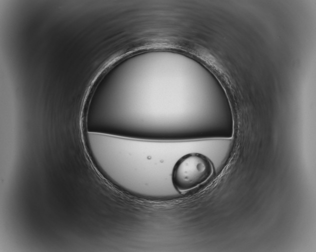 X0000098141181200804171114