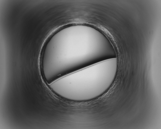 X0000098141183200804171113