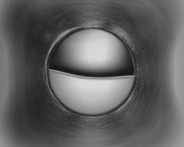 X0000098141184200804171113
