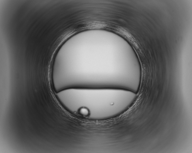 X0000098141186200804171113