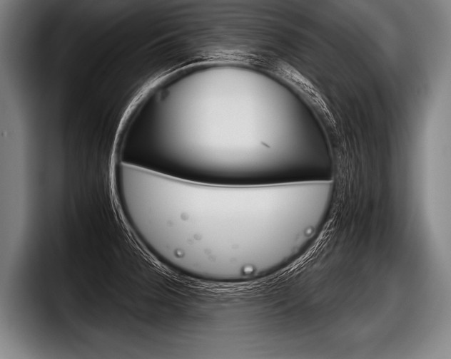 X0000098141188200804171113