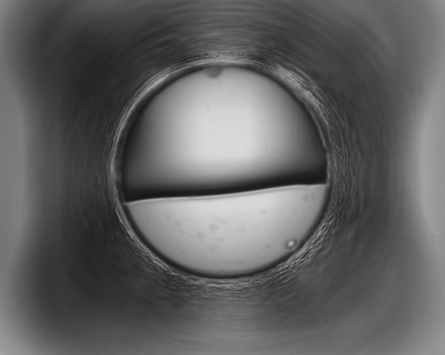 X0000098141189200804171113
