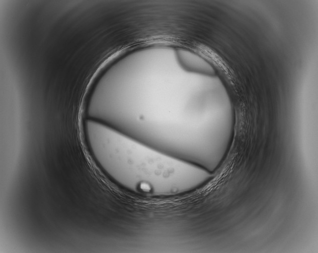 X0000098141190200804171113