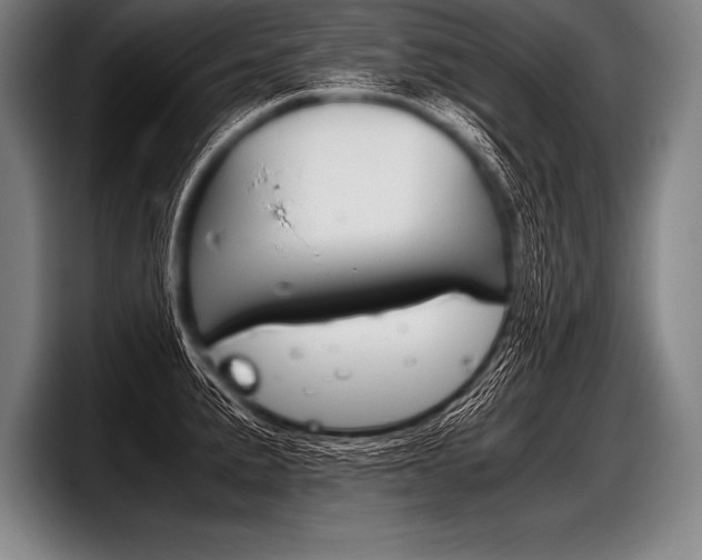 X0000098141191200804171113
