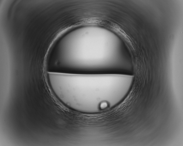 X0000098141192200804171113
