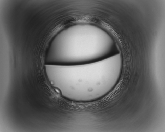 X0000098141193200804171113