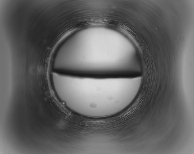X0000098141195200804171113