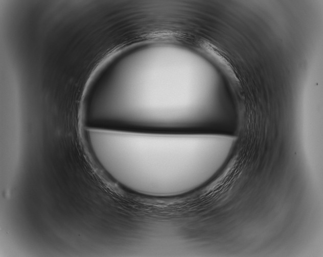 X0000098141196200804171113