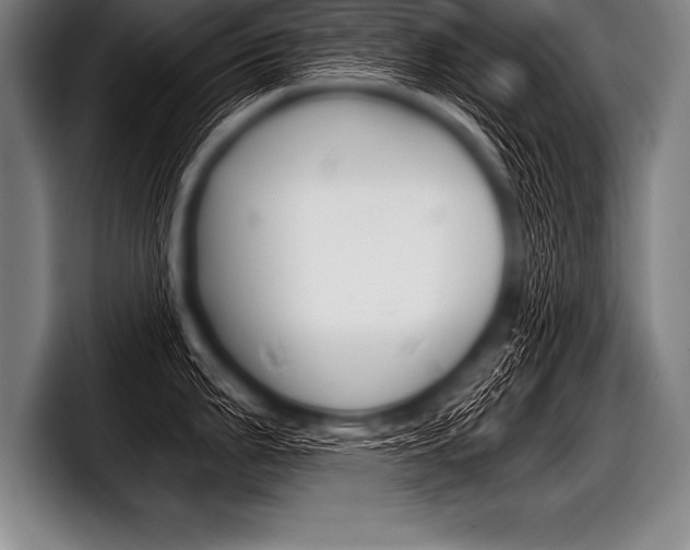X0000098141199200804171113