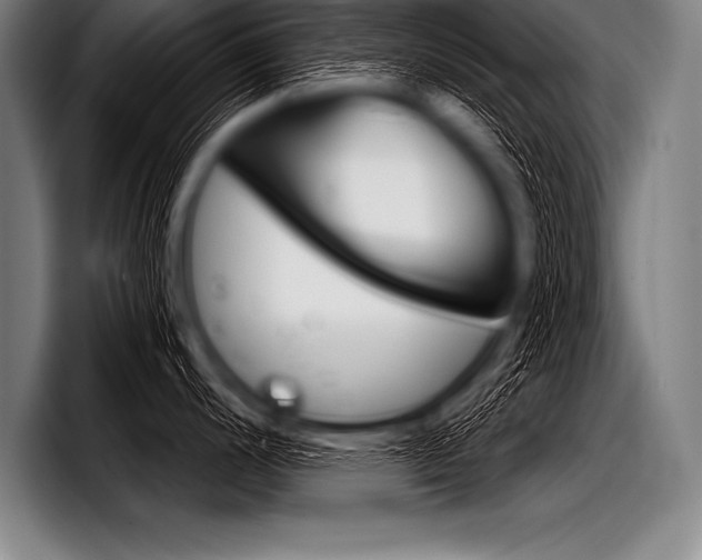 X0000098141200200804171113