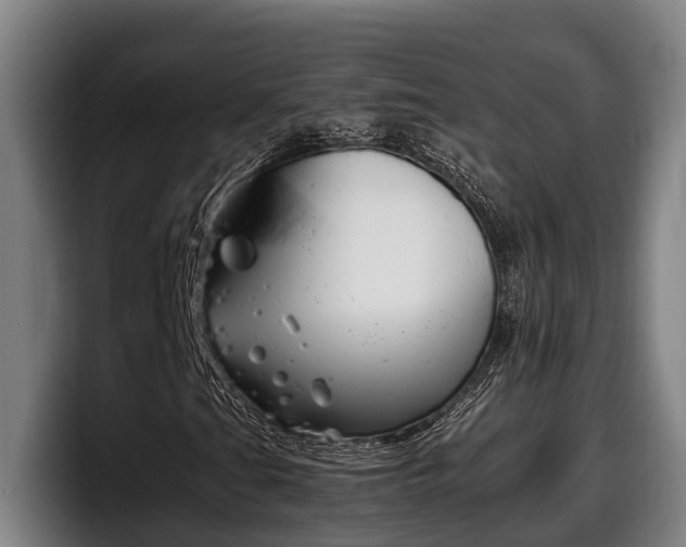 X0000098141201200804171113