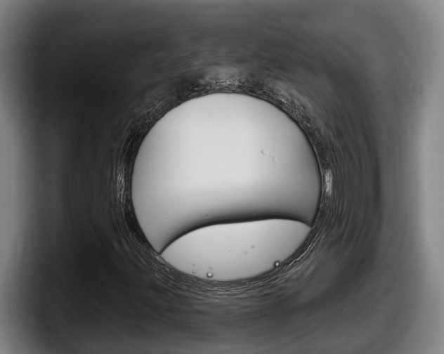 X0000098141203200804171113
