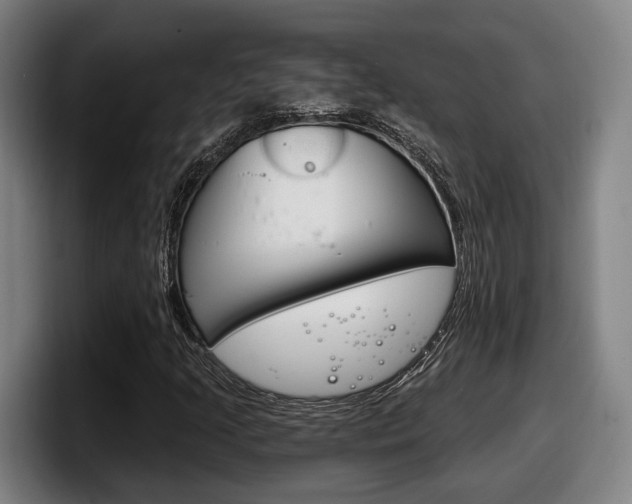 X0000098141205200804171113