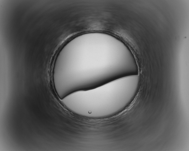 X0000098141212200804171113