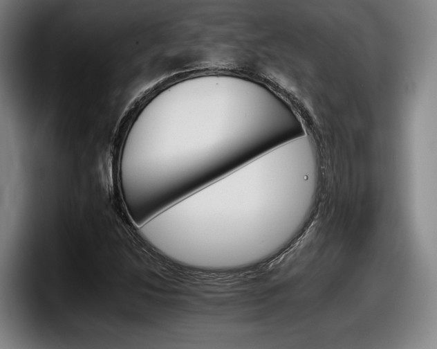 X0000098141214200804171113