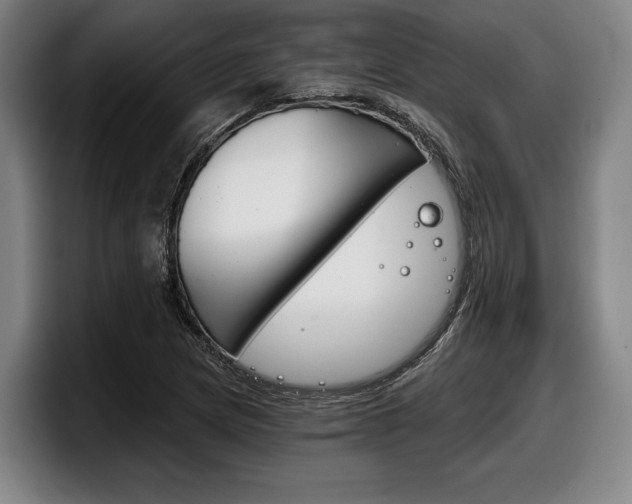 X0000098141217200804171113
