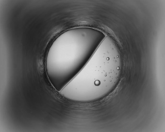 X0000098141218200804171113
