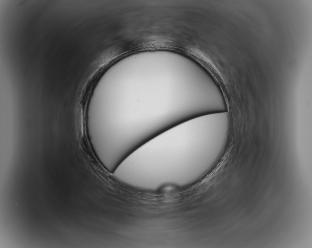 X0000098141219200804171113