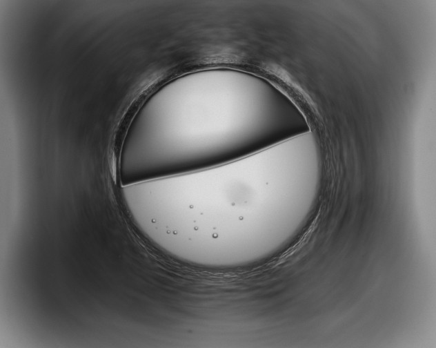 X0000098141221200804171113