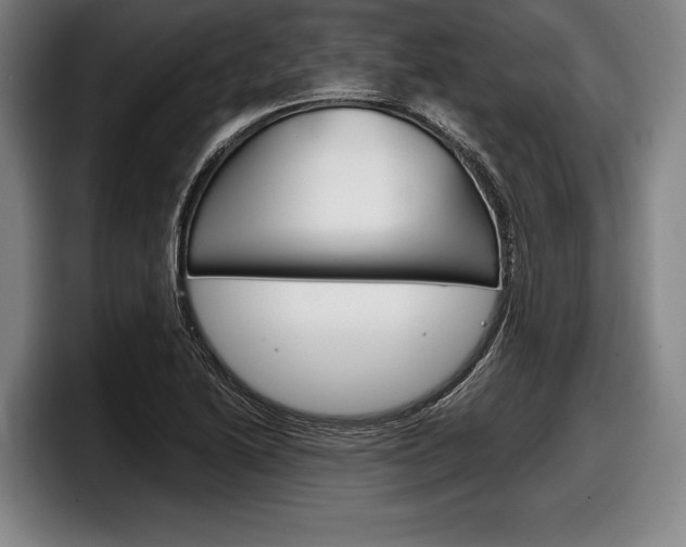 X0000098141222200804171113