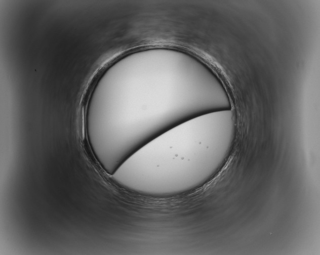 X0000098141223200804171113