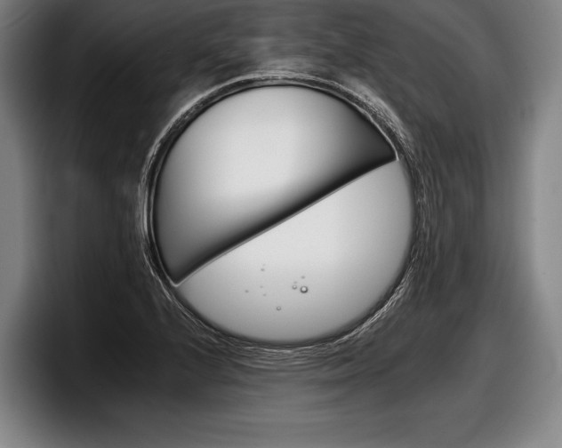 X0000098141224200804171113