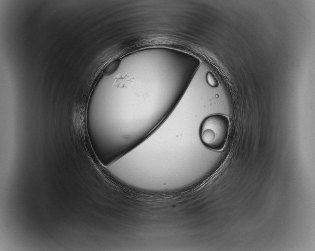 X0000098141225200804171113