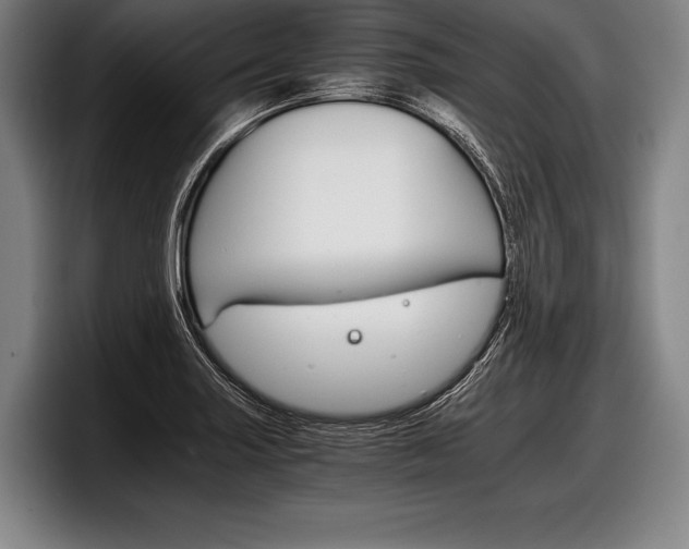 X0000098141227200804171113