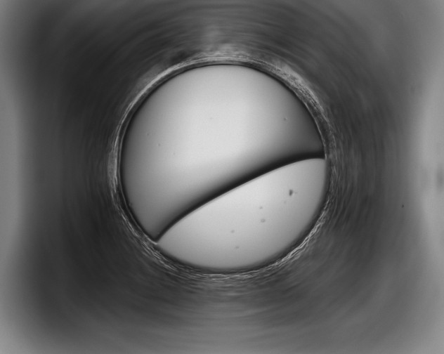 X0000098141228200804171113