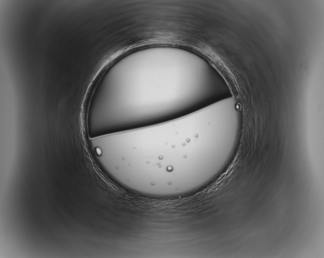 X0000098141230200804171113