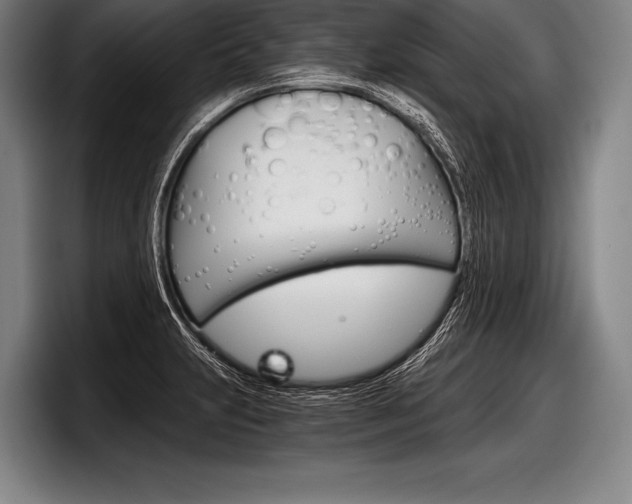 X0000098141231200804171113