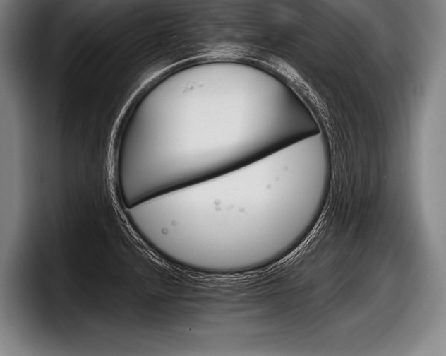 X0000098141232200804171113
