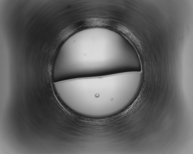 X0000098141233200804171113
