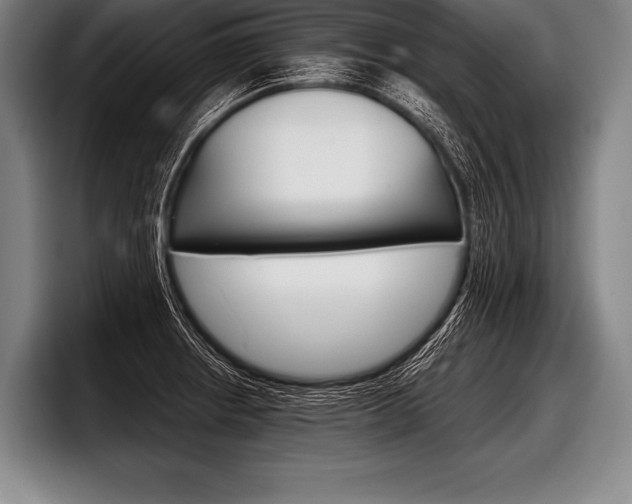 X0000098141234200804171113