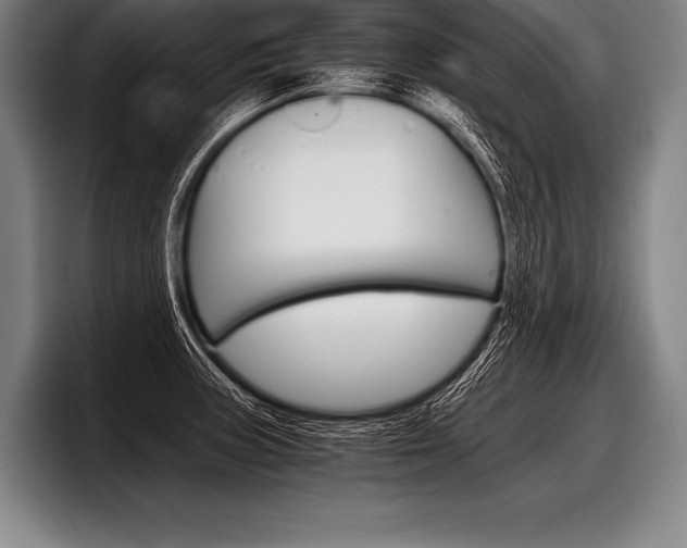 X0000098141235200804171113