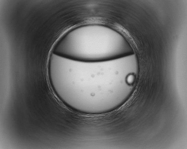 X0000098141236200804171113