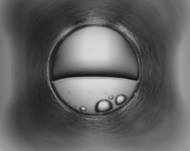 X0000098141237200804171113