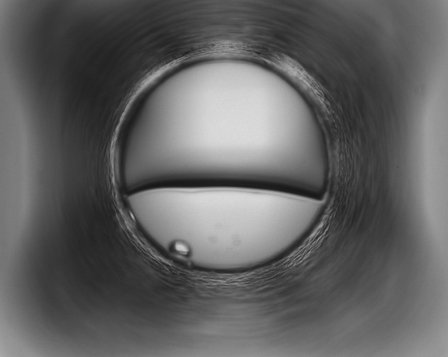 X0000098141238200804171113