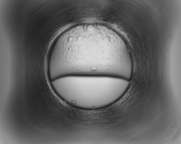 X0000098141239200804171113