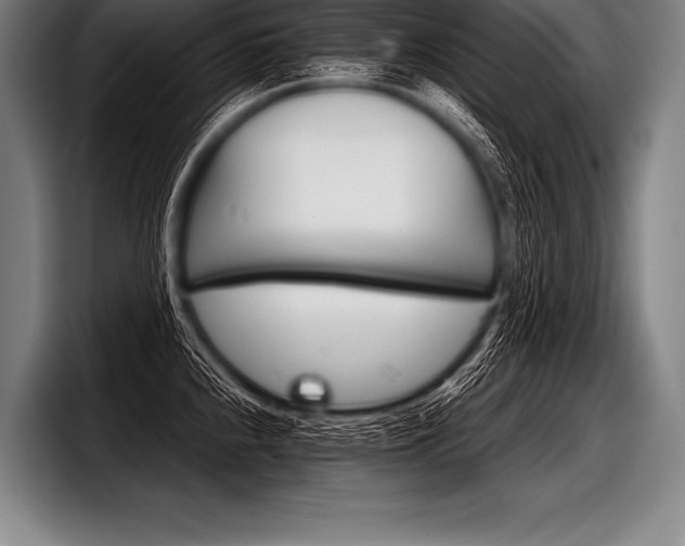X0000098141240200804171113