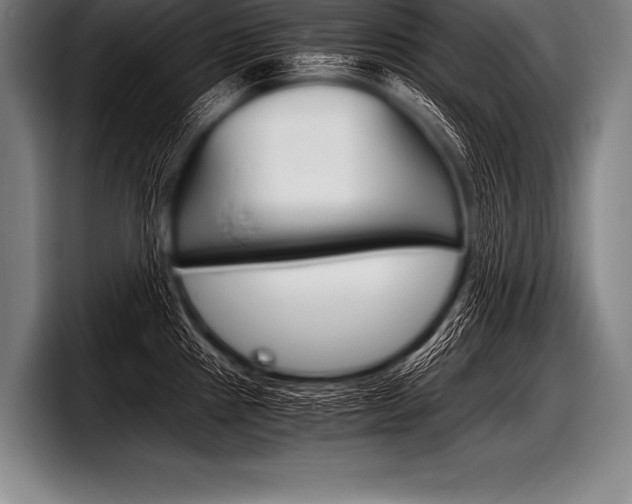 X0000098141241200804171113
