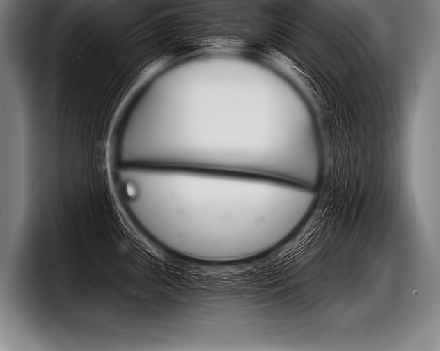 X0000098141243200804171113