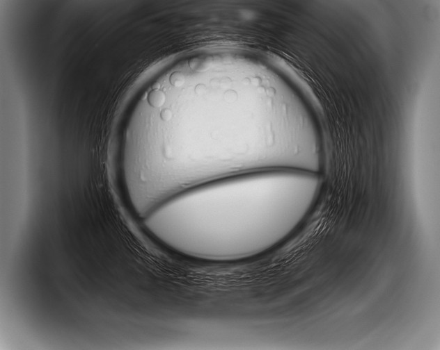 X0000098141245200804171113