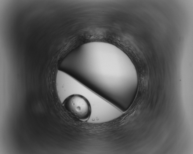 X0000098141250200804171113